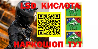 прущие крисы Аргун