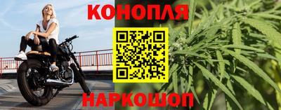 прущие крисы Аргун