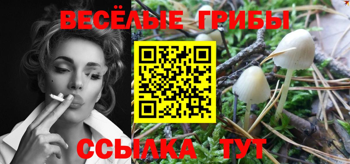 Псилоцибиновые грибы прущие грибы Аргун