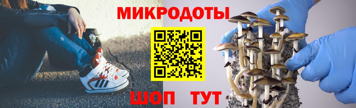 Галлюциногенные грибы MAGIC MUSHROOMS  Вход с VPN  Аргун 